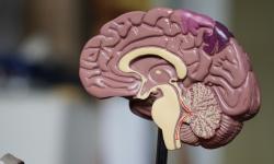 Featured image of post Get Smarter